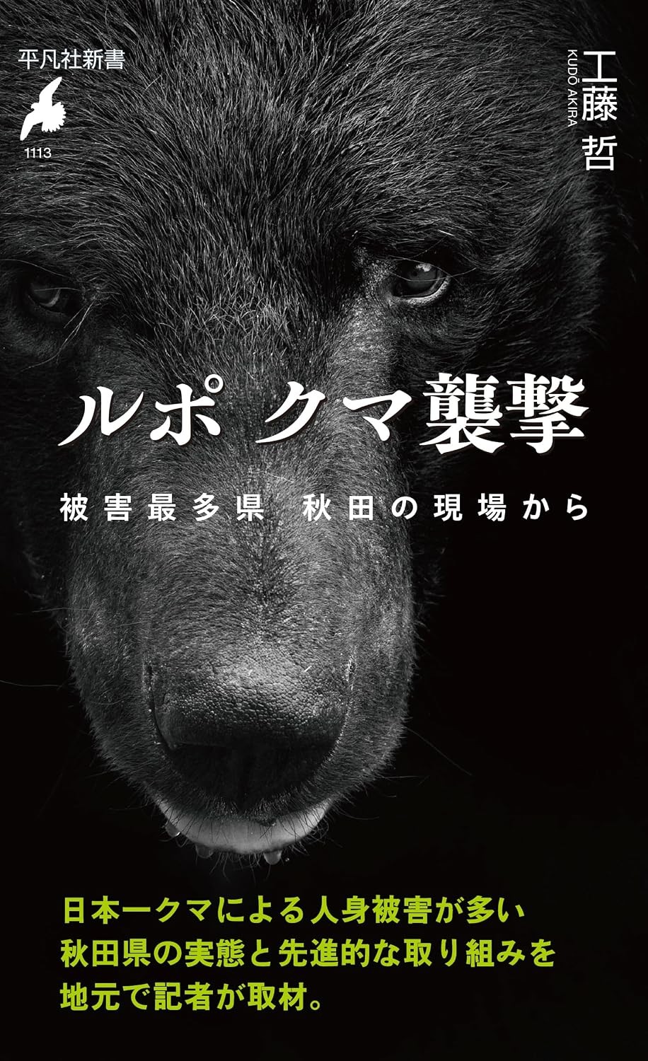 ルポ　クマ襲撃