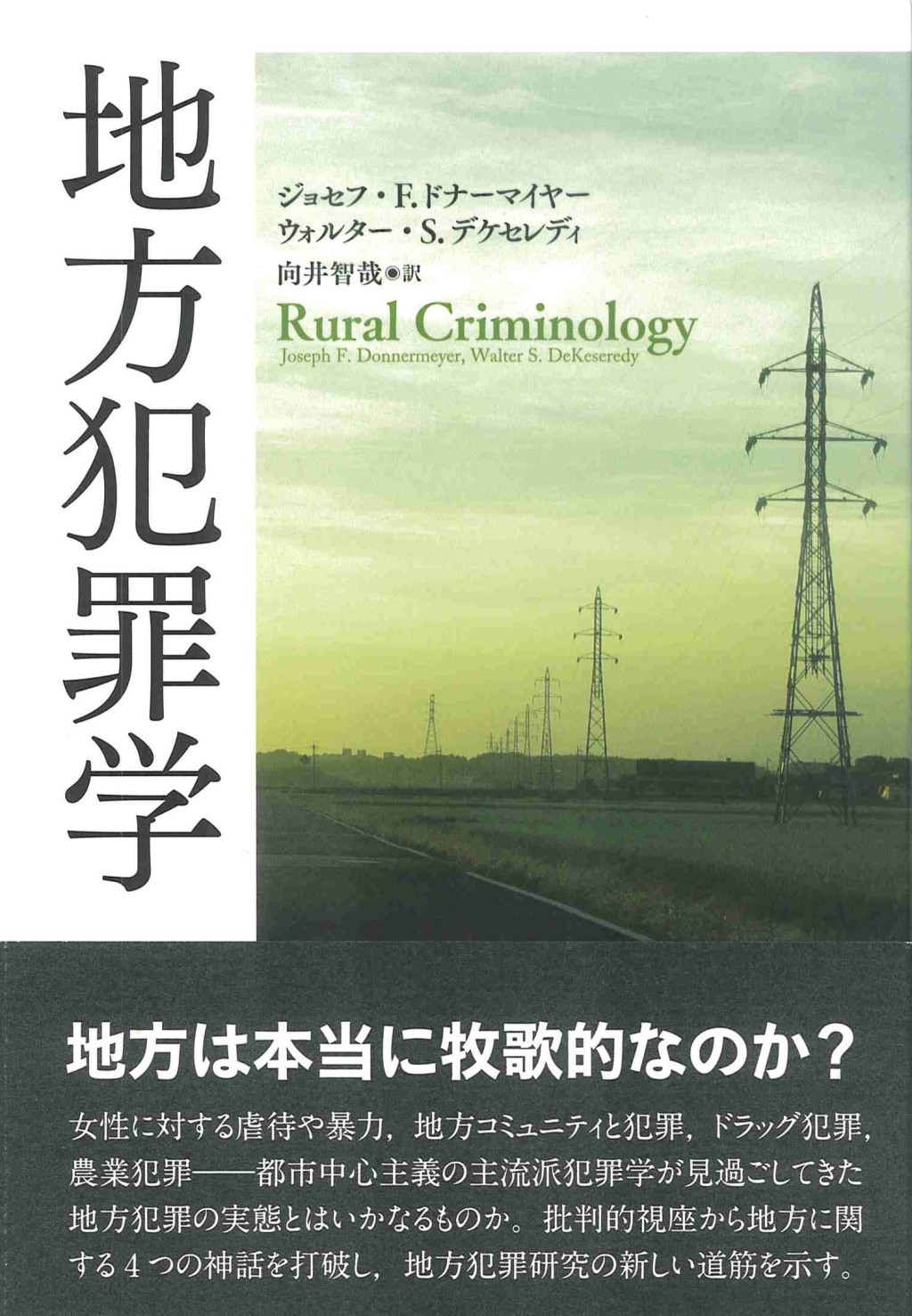 地方犯罪学