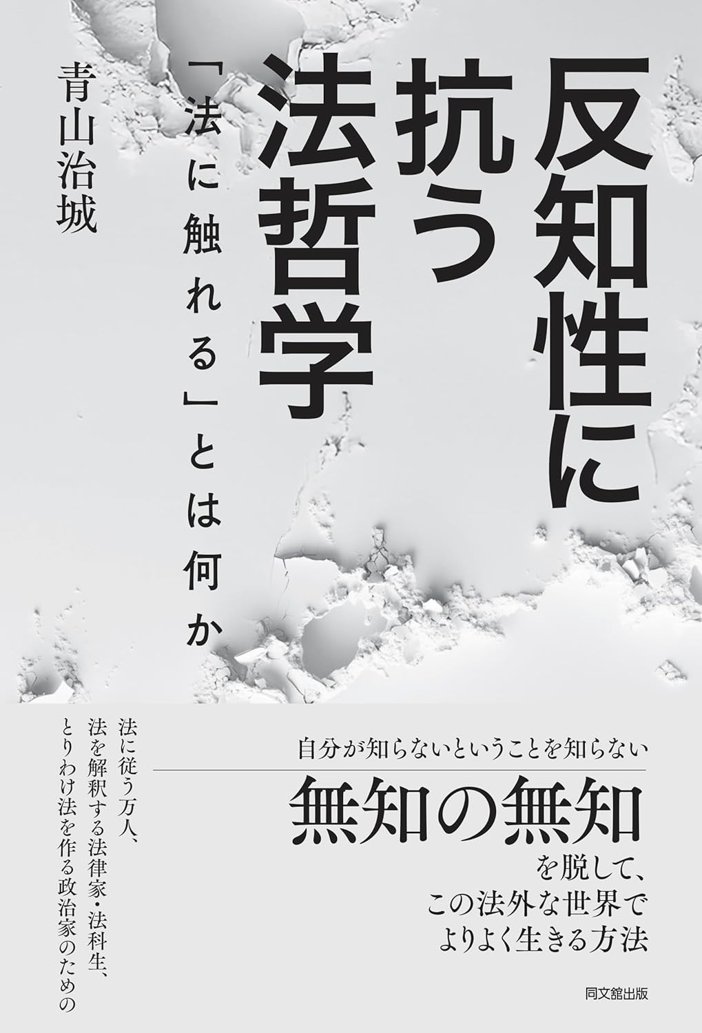反知性に抗う法哲学