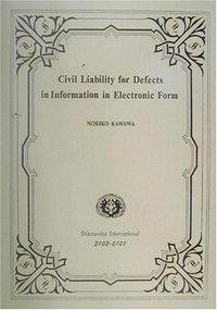 Civil Liability for Defects in Information in Electronic Form