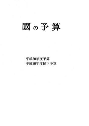 國の予算　平成30年度