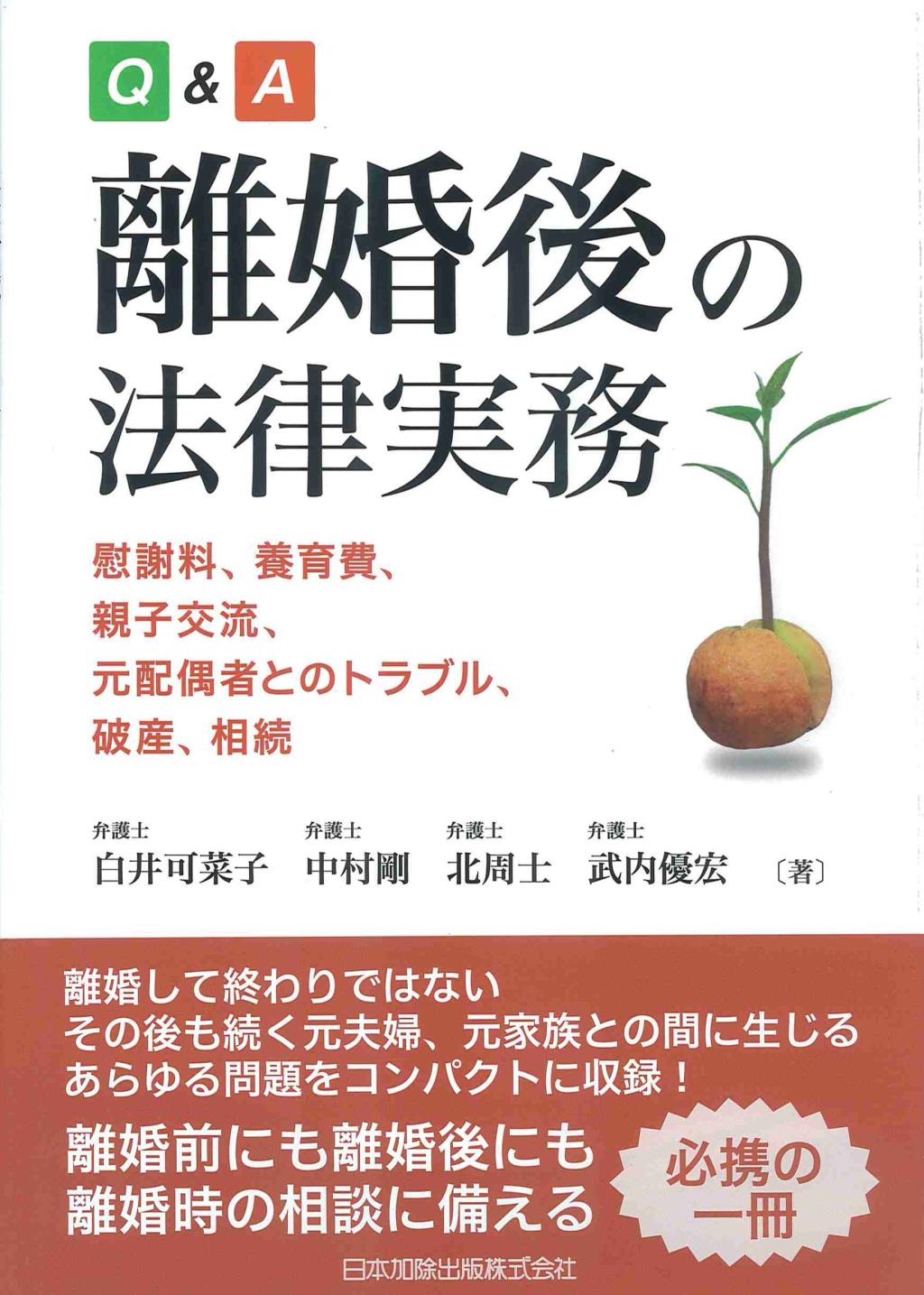 Q&A離婚後の法律実務