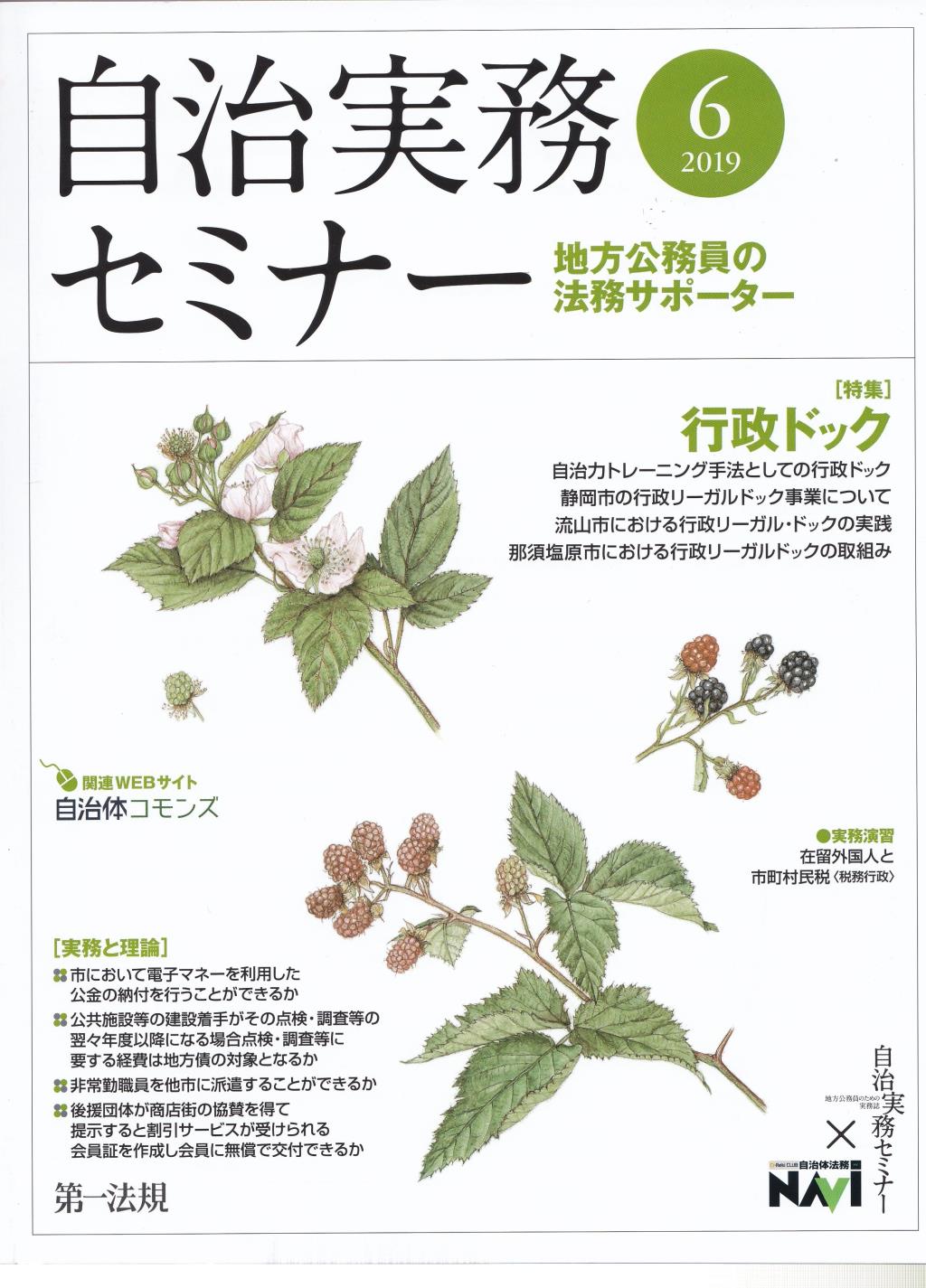 自治実務セミナー 2019年6月号 通巻684号