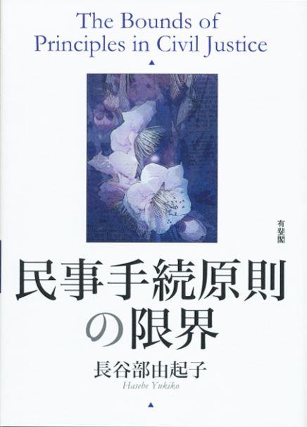 民事手続原則の限界
