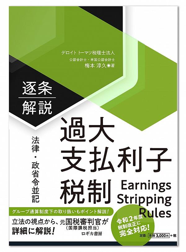 逐条解説　過大支払利子税制