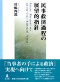 民事救済過程の展望的指針