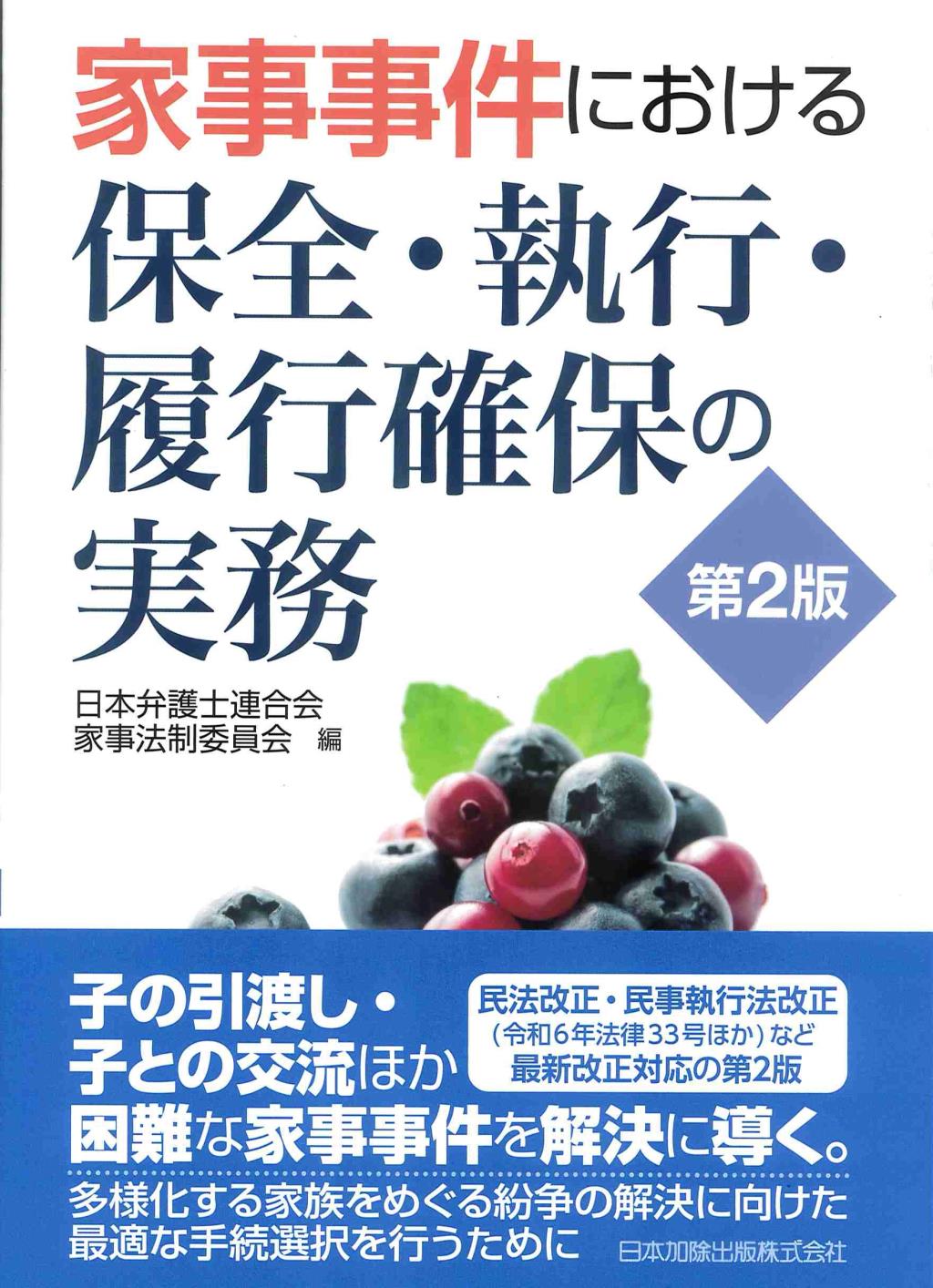 家事事件における保全・執行・履行確保の実務〔第2版〕