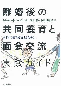 離婚後の共同養育と面会交流 実践ガイド