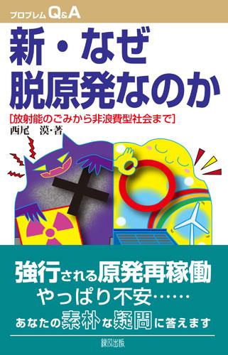 新・なぜ脱原発なのか〔改訂新版〕