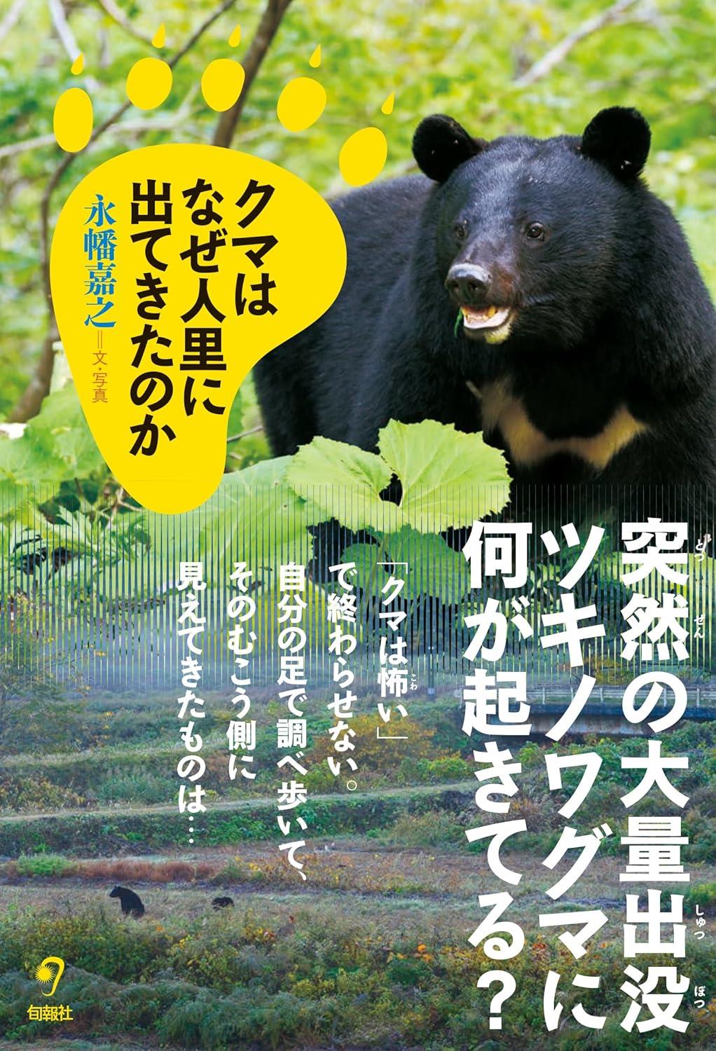 人里にクマがやってきた！